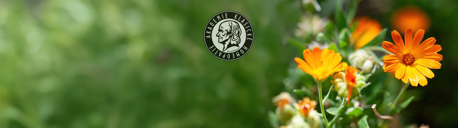 XIV. HOMEOPATICKÁ LETNÍ ŠKOLA